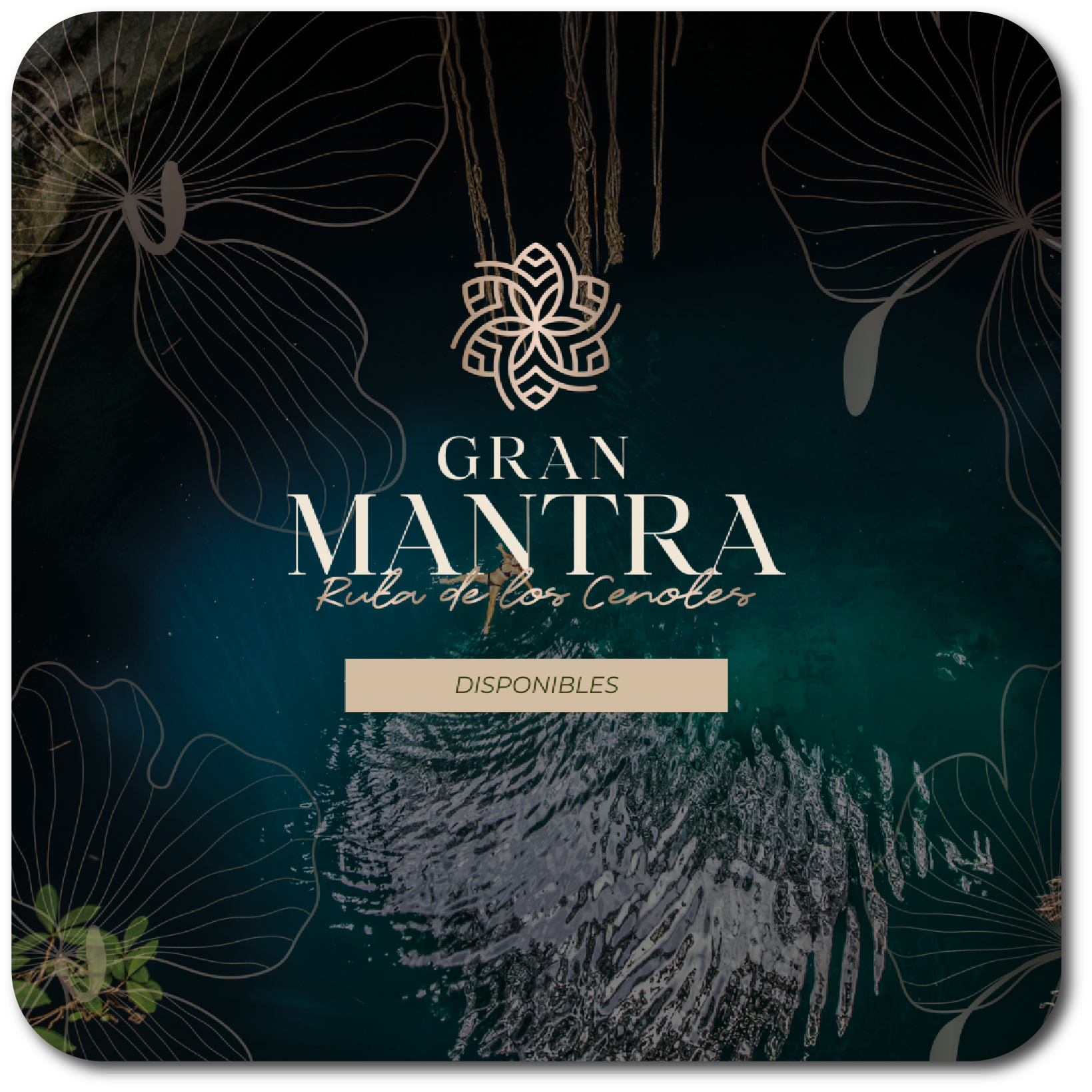 Gran Mantra Ruta de los Cenotes portafolio