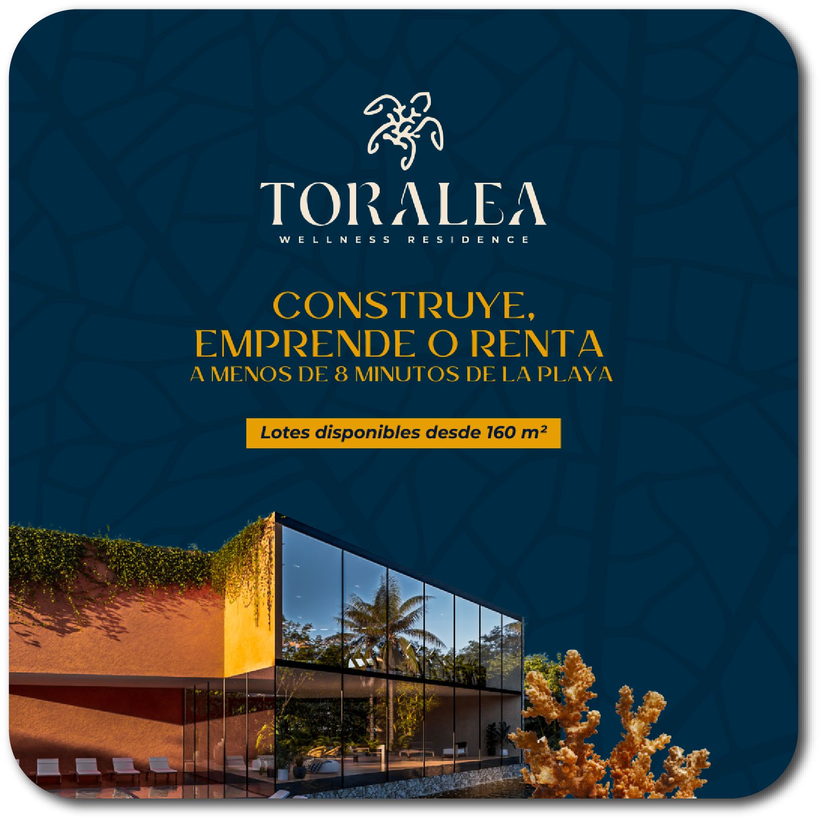 Toralea portafolio